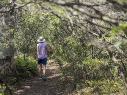Woman walking on path in forest