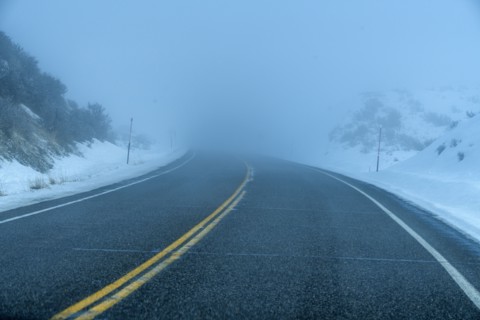 Road by snow in fog