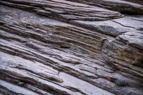 Sandstone at Zion National Park in Utah, USA
