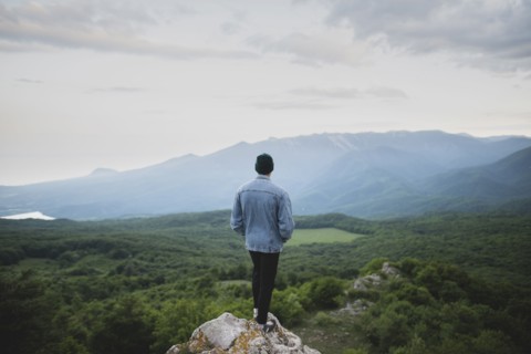 Man standing on cliff by mountain and forest
