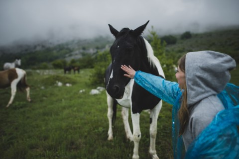 Woman petting Icelandic horse