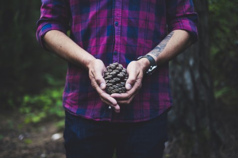 Man wearing checked shirt holding pinecone