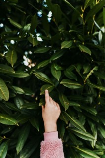 Girls hand reaching towards leaves