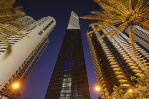 USA, Florida, Miami Beach, Low angle view of skyscrapers and palm trees