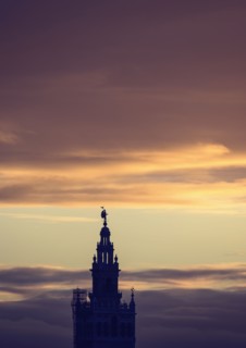 Spain, Seville, Giralda and Catherdral of Seville, Giralda tower against sunset sky