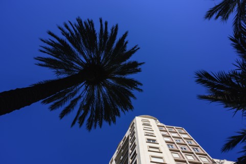Spain, Valencia, Low angle view of Avinguda del Port