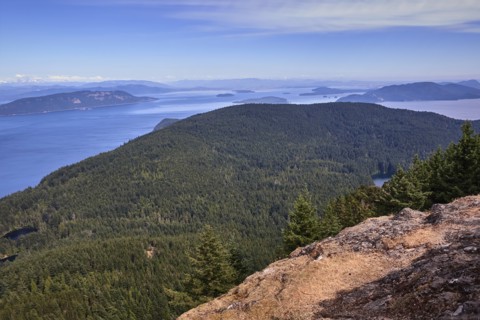USA, Washington, San Juan County, Orcas Island, Scenic forested landscape