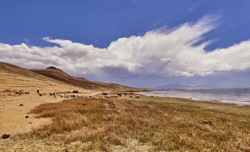 Peru, Sillustani, Scenic view of arid landscape
