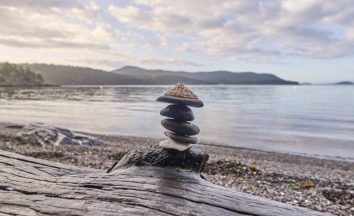 Pebbles stacked on driftwood on beach