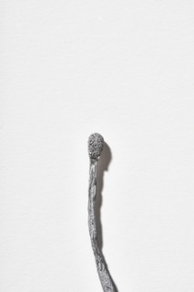 Burnt matchstick on white background