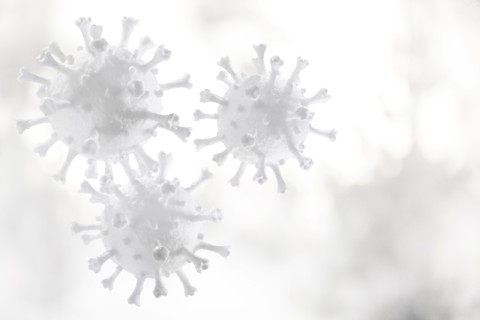 White Coronavirus models