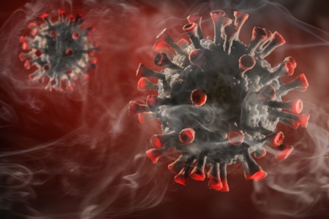 Digitally generated Coronavirus models
