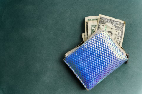 Overhead view of one dollar banknotes in purse
