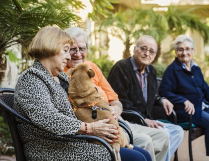 Senior people sitting in chairs and holding service dog