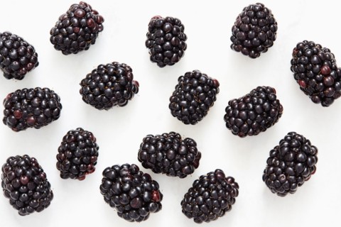 Blackberries on white background