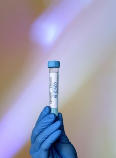 Close-up of doctors hand holding Covid-19 test sample