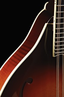 Close-up of mandolin