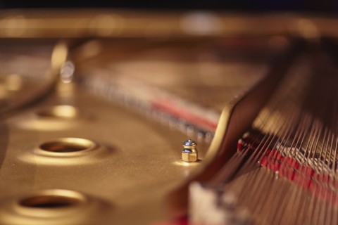 Close-up of piano strings