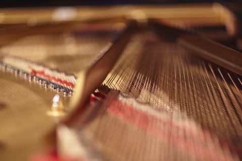 Close up of piano strings
