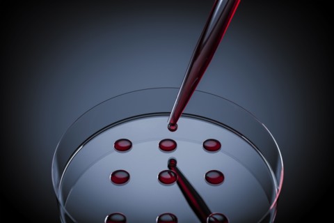Blood sample tested on petri dish in laboratory