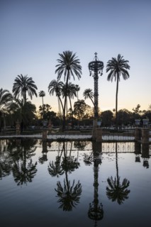 Spain, Seville, Palm trees reflecting in water at Plaza de America