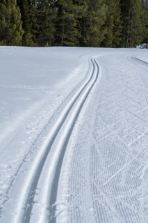 USA, Idaho, Sun Valley, Cross country ski trail near forest