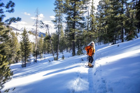 USA, Idaho, Sun Valley, Woman snowshoeing in winter landscape