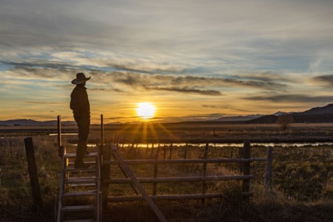 USA, Idaho, Bellevue, Cowboy standing on fence at sunset