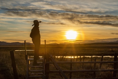 USA, Idaho, Bellevue, Cowboy standing on fence at sunset