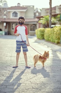 Mexico, Zapopan, Boy with face mask walking dog