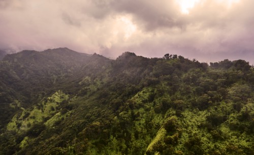 USA, Hawaii, Kauai, Na Pali, Aerial view of mountains covered with forest