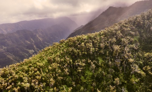 USA, Hawaii, Kauai, Na Pali, Aerial view of mountains covered with forest