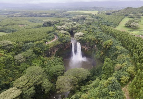 USA, Hawaii, Kauai, Waterfall in forest