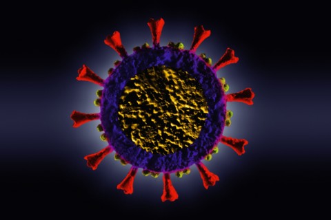 Digitally generated Coronavirus model