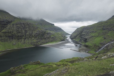 Denmark, Green coastline with cliffs,