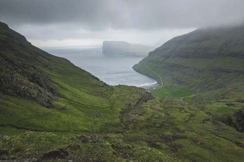 Denmark, Green coastline with cliffs,
