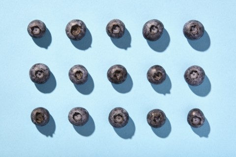 Blueberries in rows on blue background