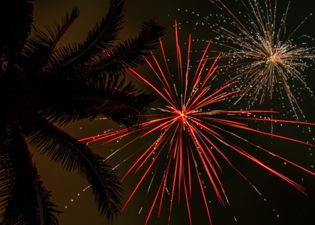 Palm tree and firework display,,