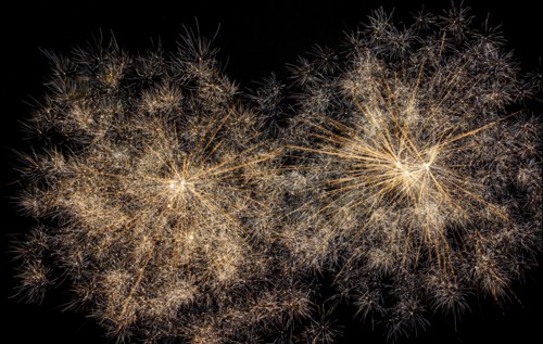 Firework display in black sky,,