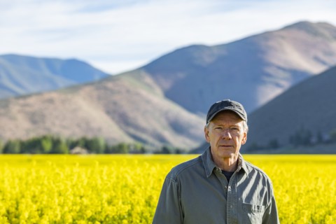 USA, Farmer standing in mustard field,