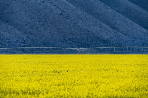 USA, Idaho, Sun Valley