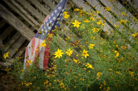 Faded American flag on old wood,,