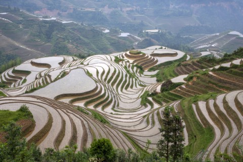 China, Guangxi, Guilin