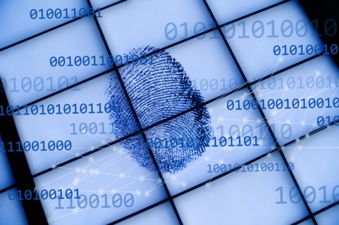 Fingerprint on grid with binary code