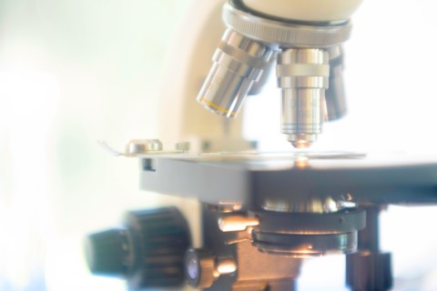 Microscope in laboratory