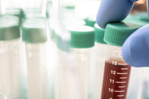 Close-up of test tubes in laboratory