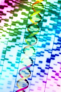DNA helix and multi-colored sequence chart