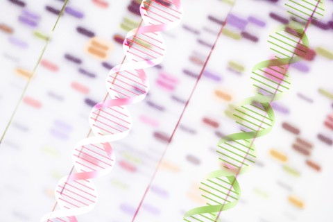 DNA helix and multi-colored sequence chart