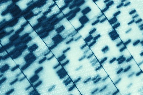 DNA chart and AGCT sequence letters