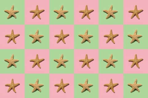Graphic pattern of starfish on yellow and pink background